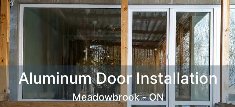 Aluminum Door Installation Meadowbrook - ON