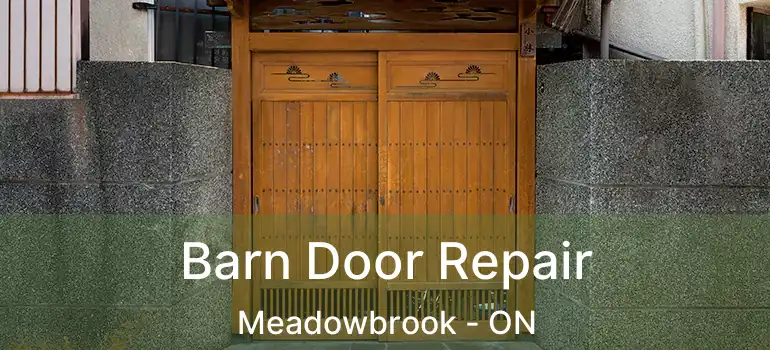  Barn Door Repair Meadowbrook - ON