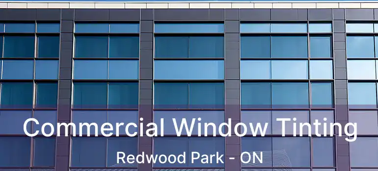  Commercial Window Tinting Redwood Park - ON