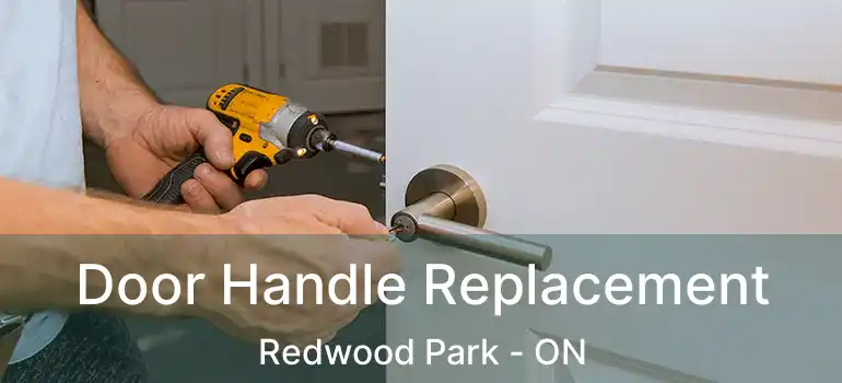  Door Handle Replacement Redwood Park - ON
