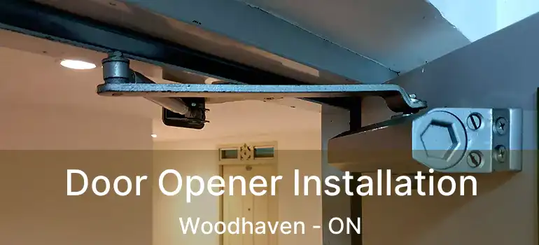  Door Opener Installation Woodhaven - ON