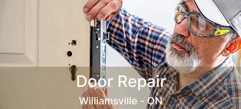  Door Repair Williamsville - ON