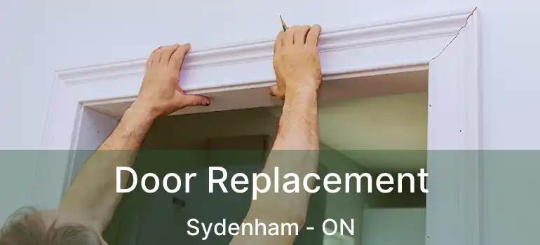  Door Replacement Sydenham - ON