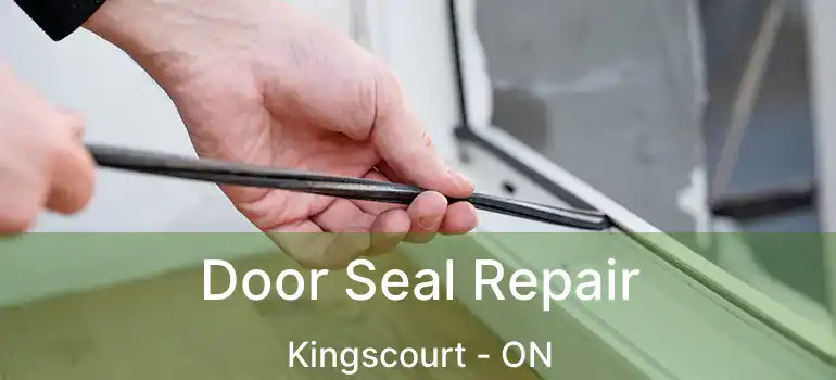  Door Seal Repair Kingscourt - ON