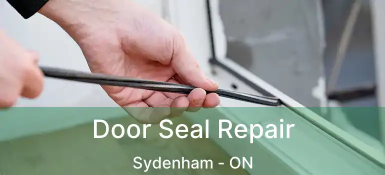  Door Seal Repair Sydenham - ON