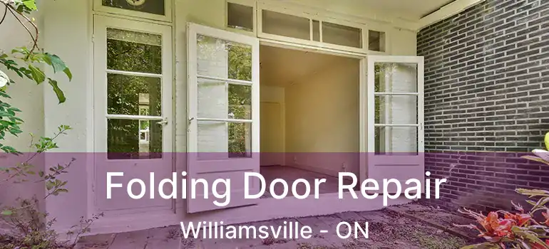  Folding Door Repair Williamsville - ON