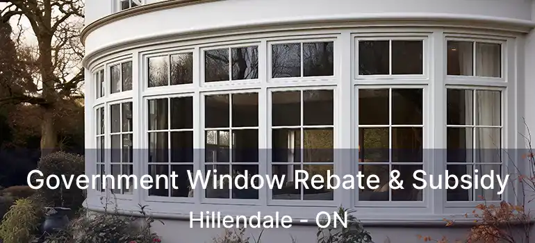  Government Window Rebate & Subsidy Hillendale - ON