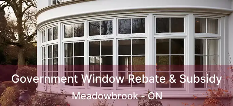  Government Window Rebate & Subsidy Meadowbrook - ON
