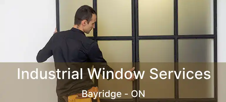  Industrial Window Services Bayridge - ON