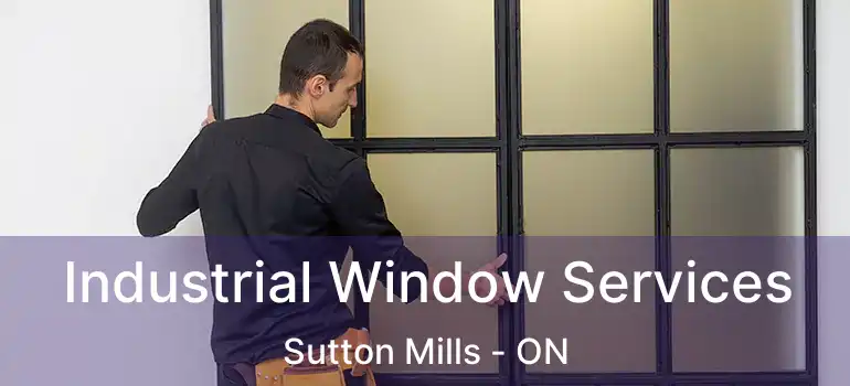  Industrial Window Services Sutton Mills - ON