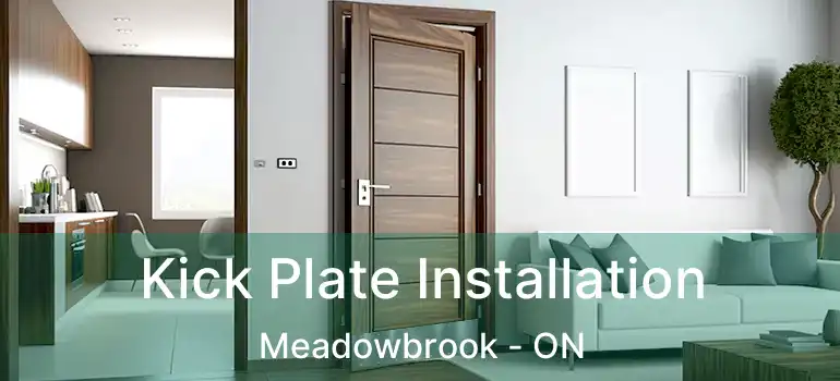  Kick Plate Installation Meadowbrook - ON