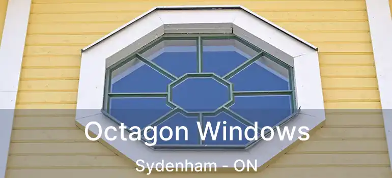  Octagon Windows Sydenham - ON