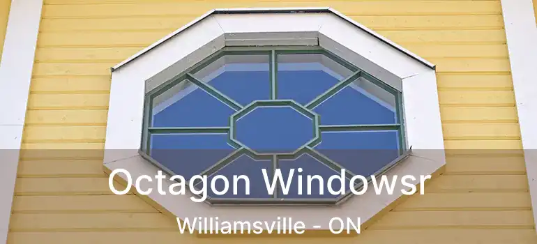  Octagon Windowsr Williamsville - ON