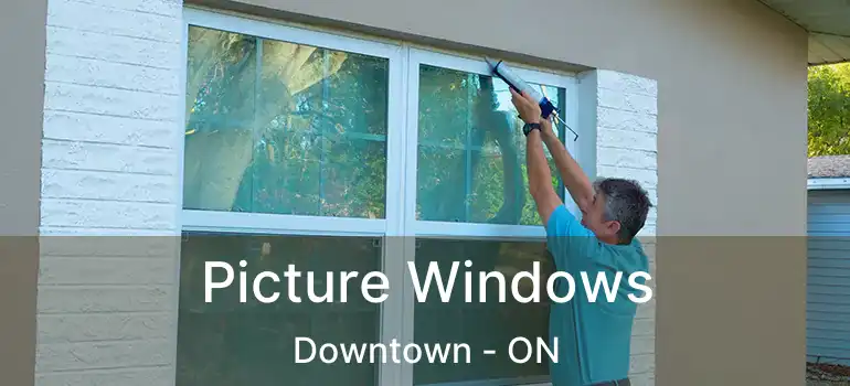  Picture Windows Downtown - ON