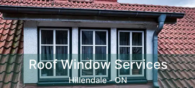  Roof Window Services Hillendale - ON