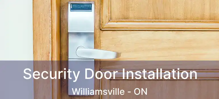  Security Door Installation Williamsville - ON