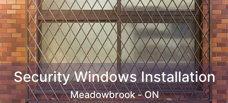  Security Windows Installation Meadowbrook - ON