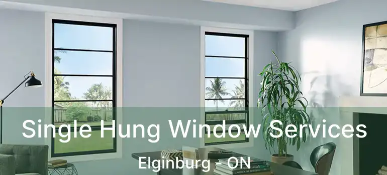  Single Hung Window Services Elginburg - ON