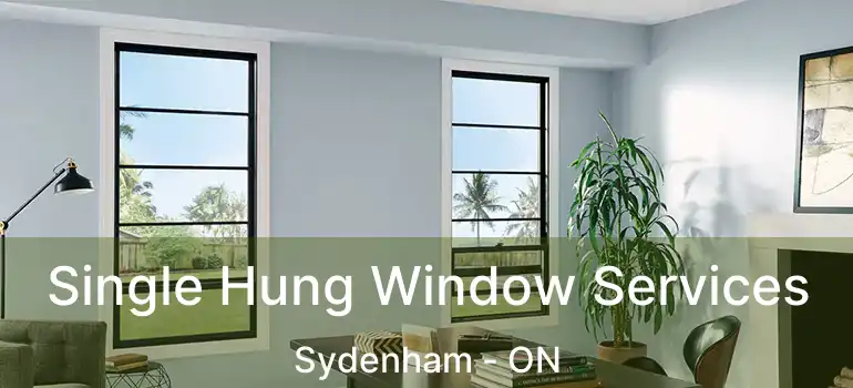  Single Hung Window Services Sydenham - ON