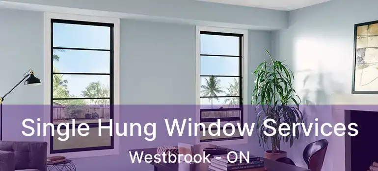  Single Hung Window Services Westbrook - ON