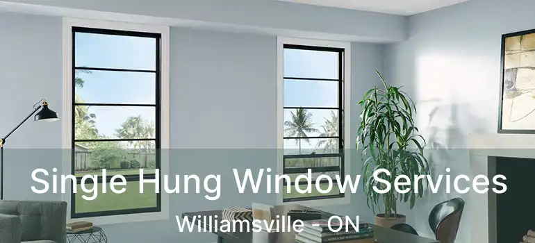  Single Hung Window Services Williamsville - ON