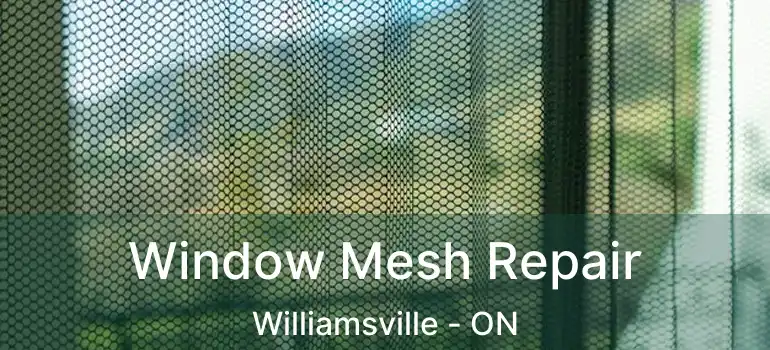  Window Mesh Repair Williamsville - ON