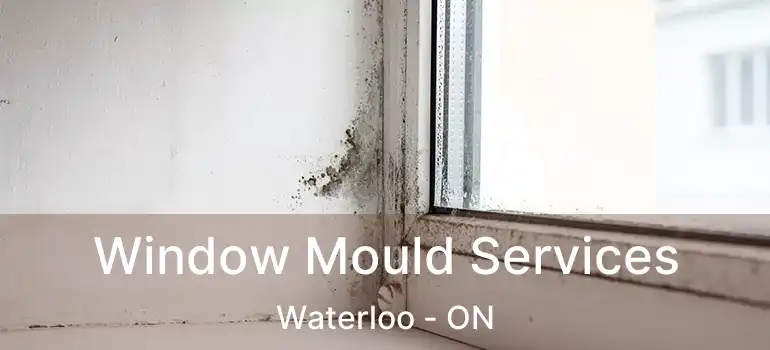  Window Mould Services Waterloo - ON