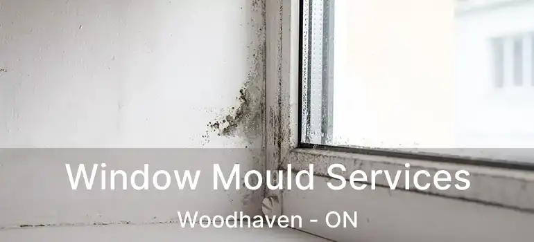  Window Mould Services Woodhaven - ON