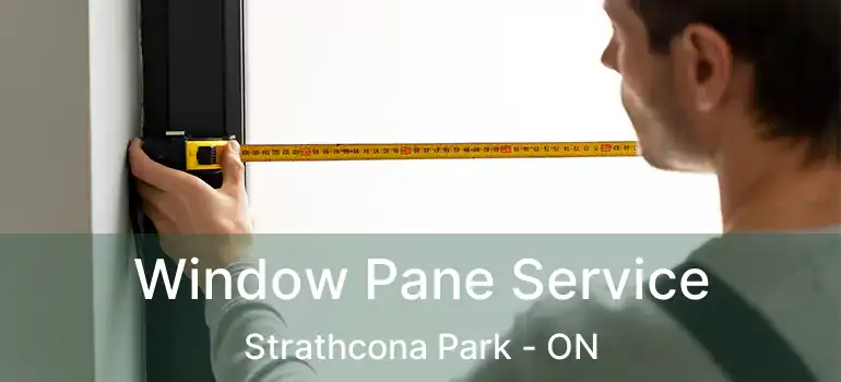  Window Pane Service Strathcona Park - ON