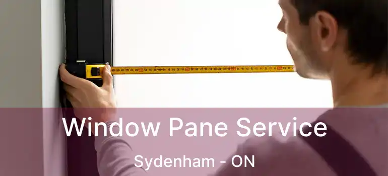  Window Pane Service Sydenham - ON