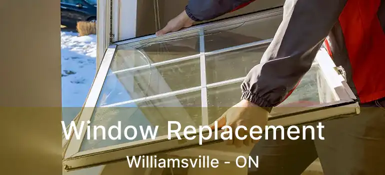  Window Replacement Williamsville - ON