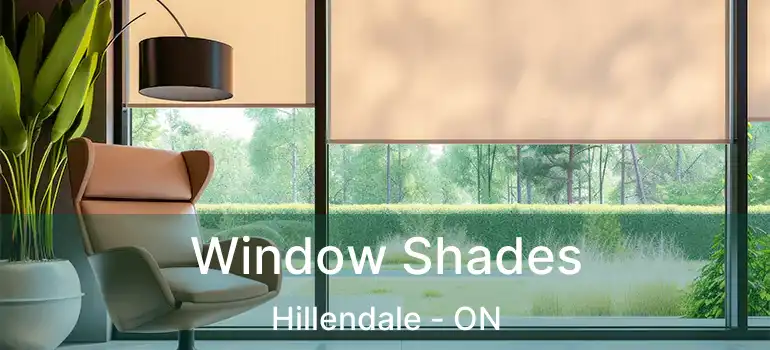  Window Shades Hillendale - ON