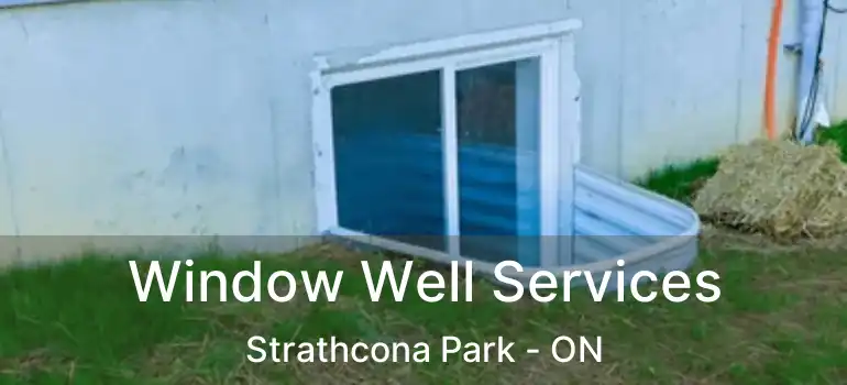  Window Well Services Strathcona Park - ON