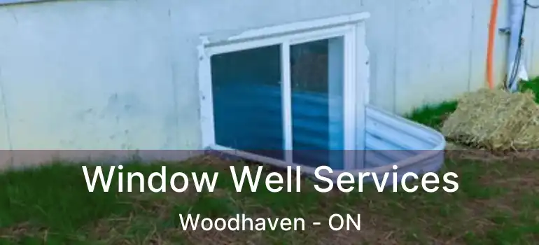  Window Well Services Woodhaven - ON